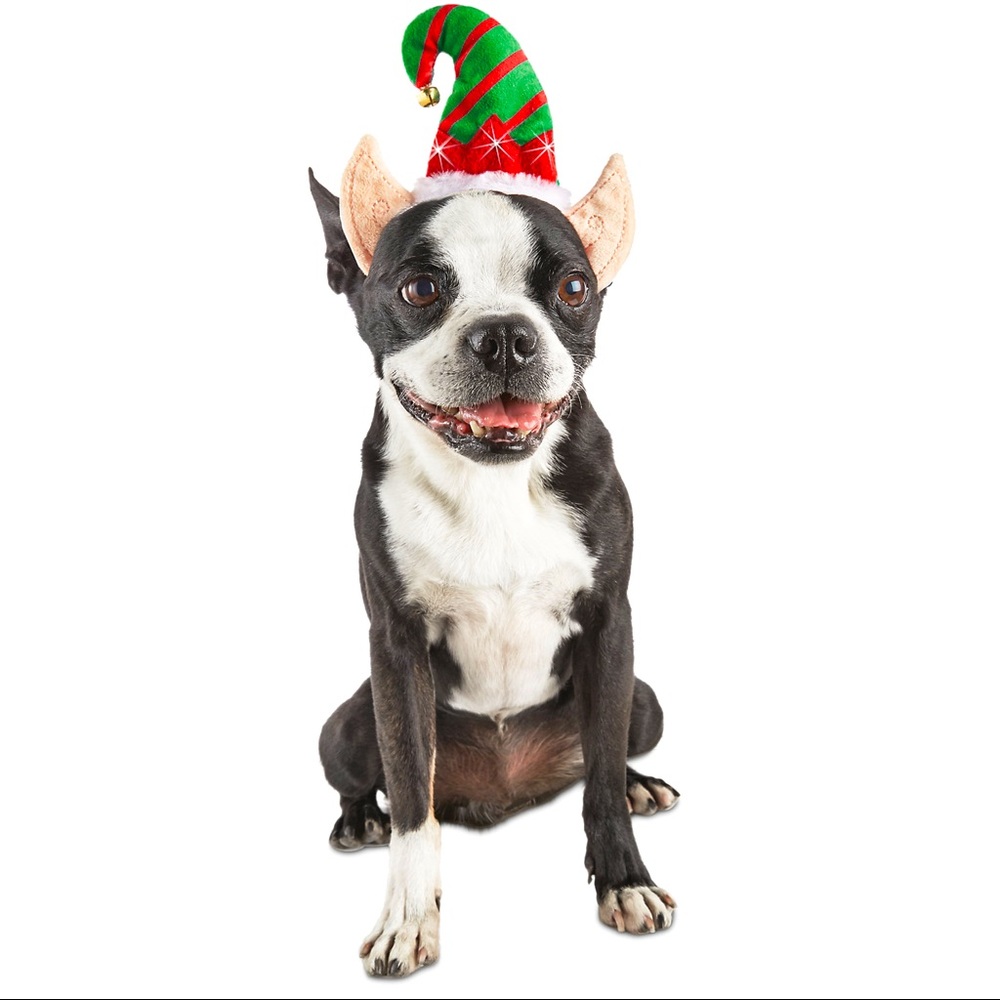 Time For Joy Light Up Elf Ear Dog Headpiece -NWT🐶